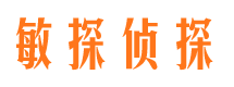 道孚调查公司